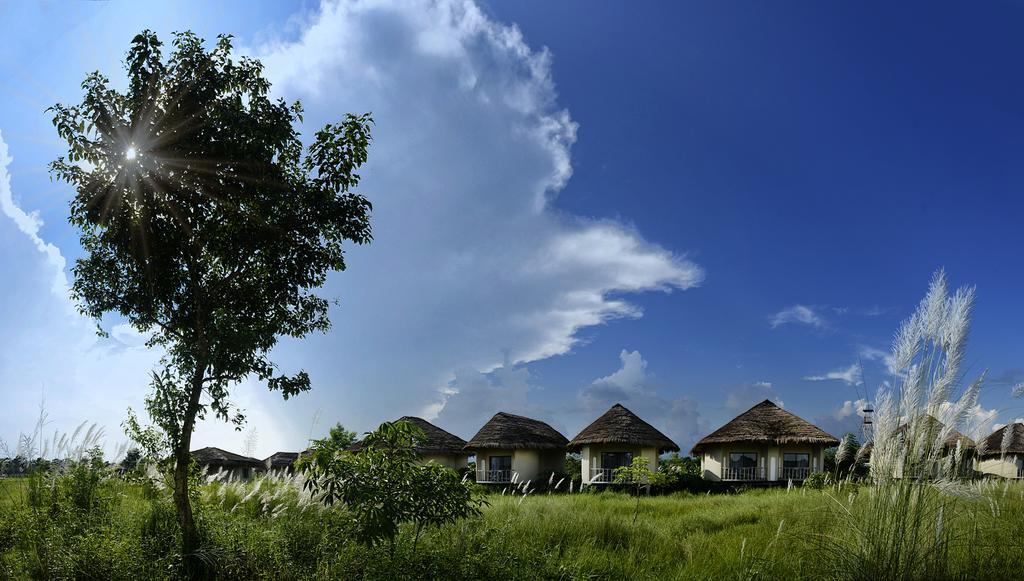 Resort Barahi Jungle Meghauli