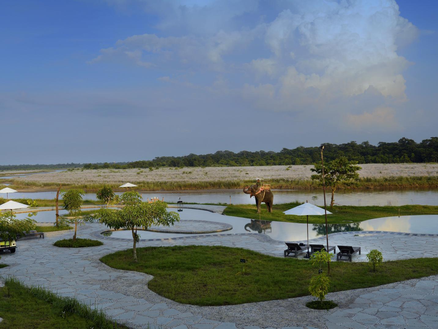 Barahi Jungle सहारा 5*