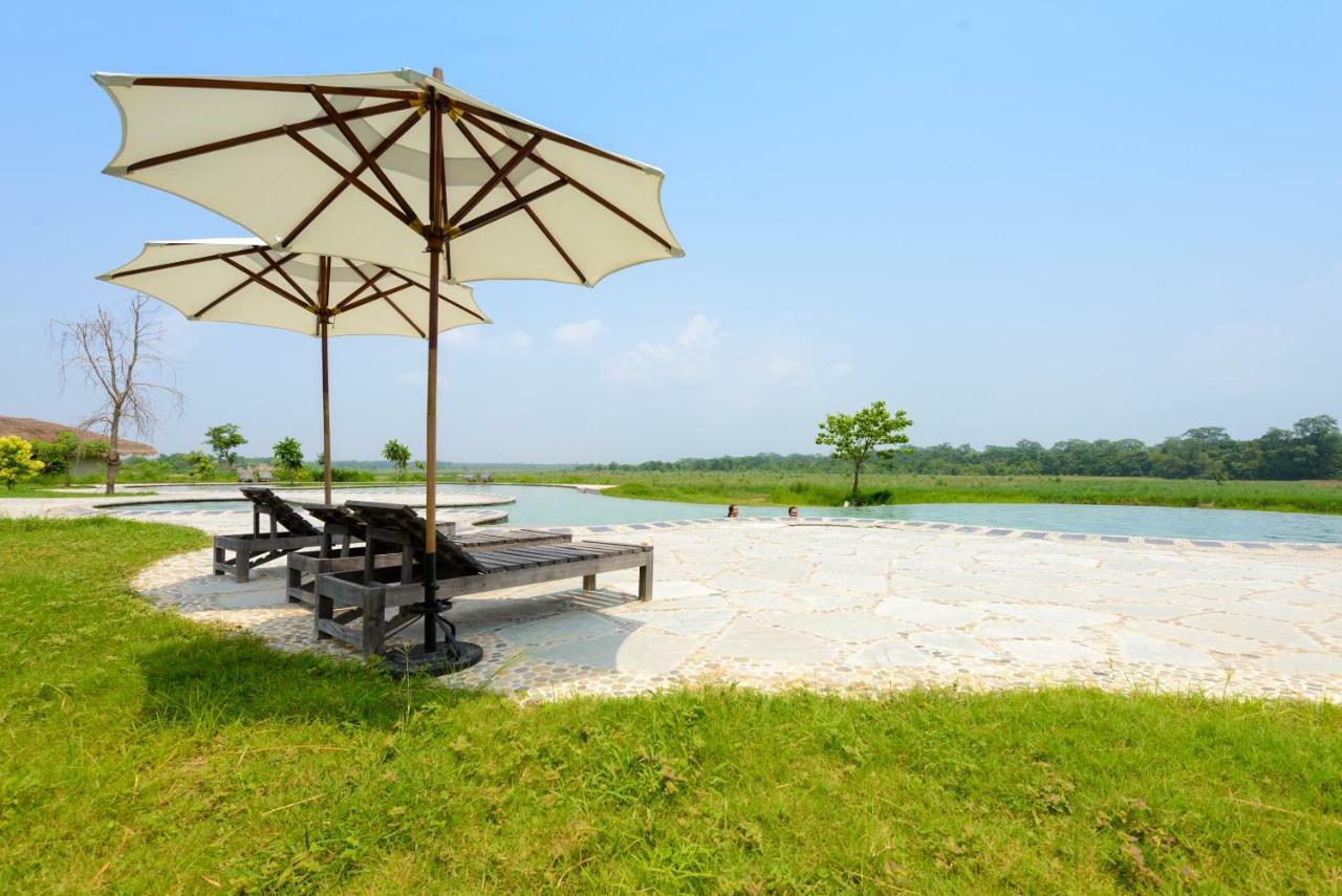 Barahi Jungle सहारा Meghauli