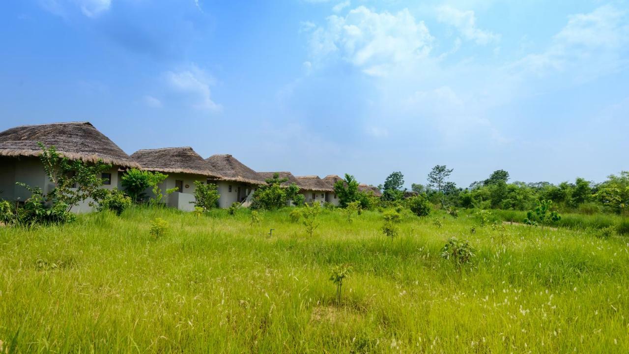 Resort Barahi Jungle