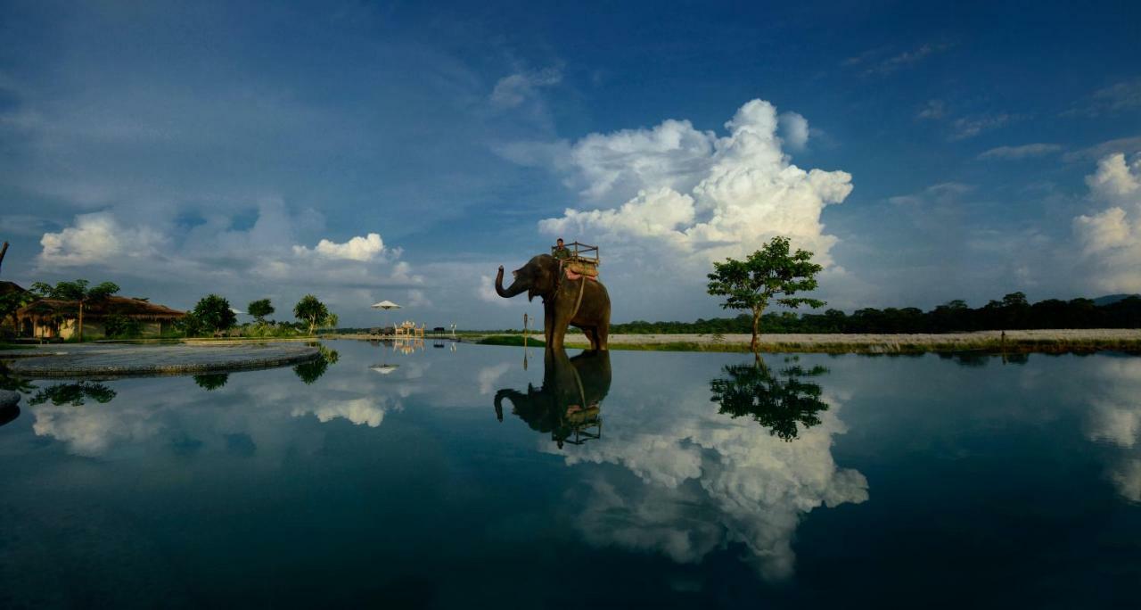 Barahi Jungle